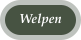 Welpen